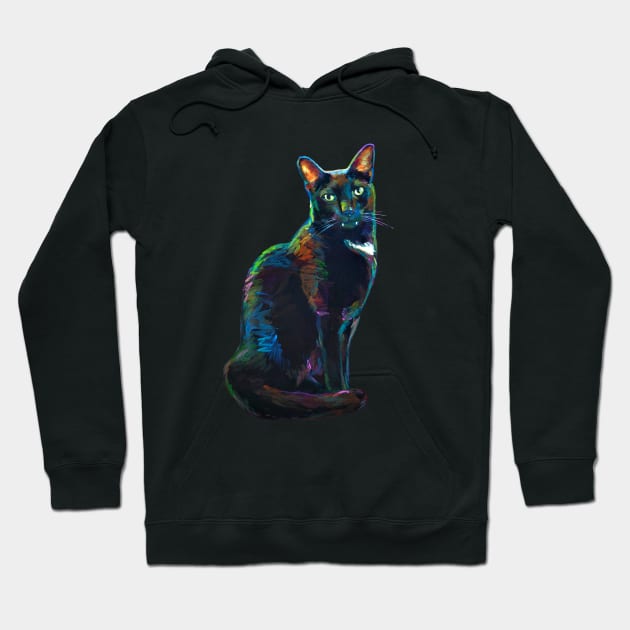 Halloween Magic Black Cat Hoodie by RobertPhelpsArt